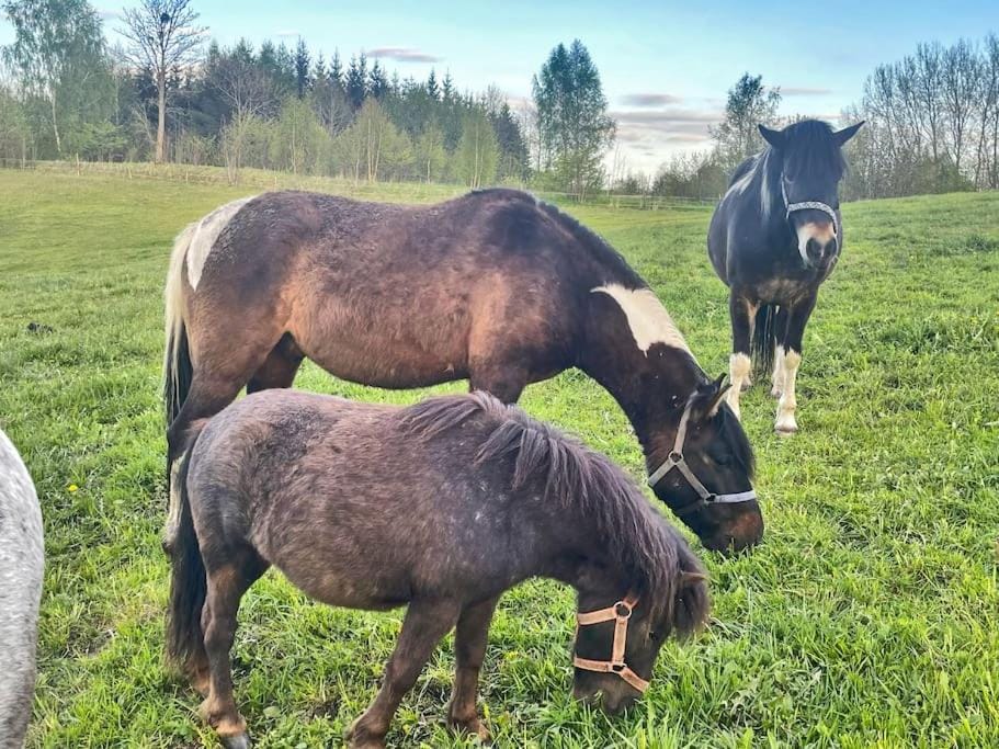 Horse-riding