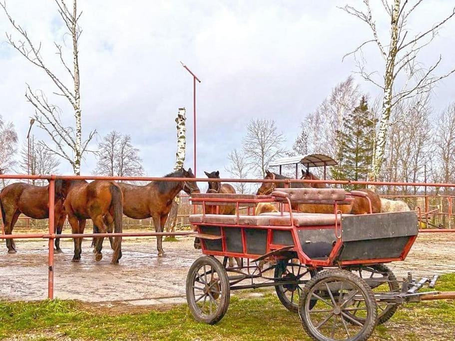 Horse-riding