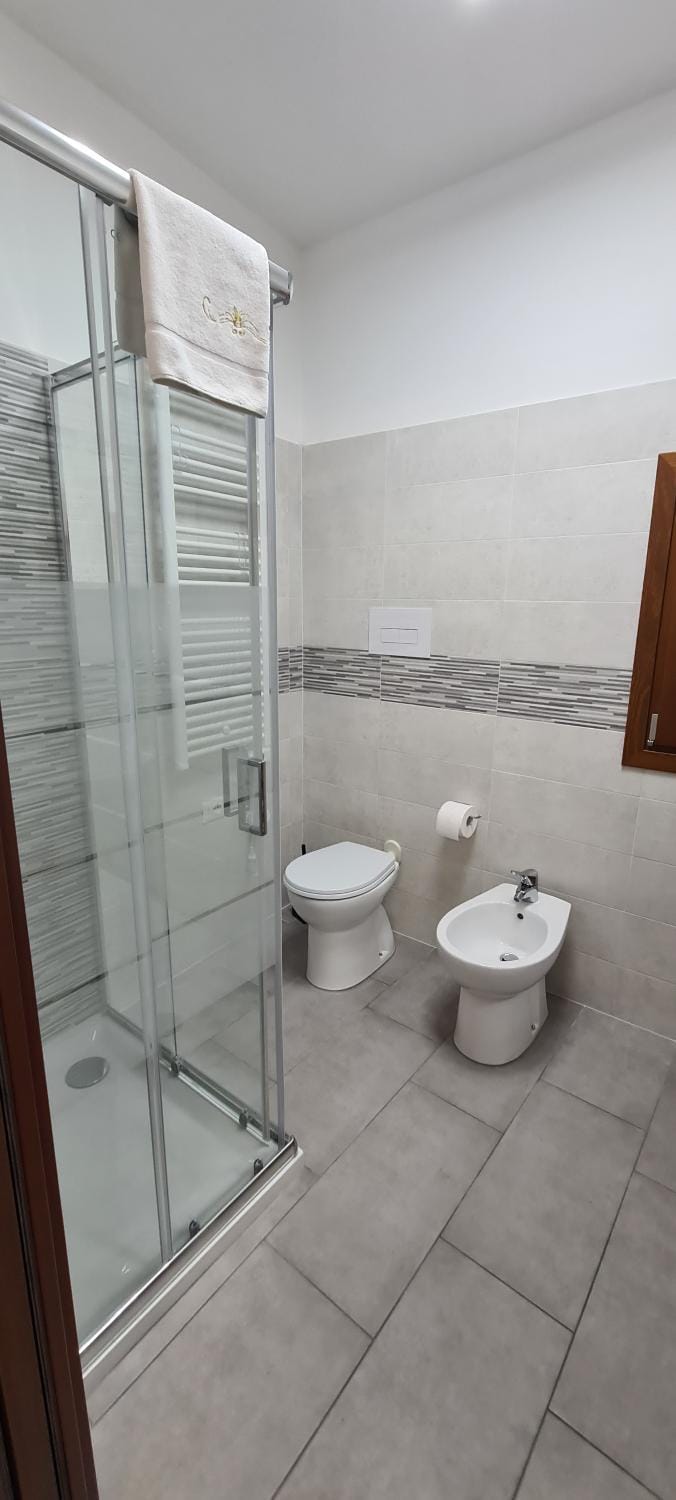 Shower, Toilet, Bathroom, bidet
