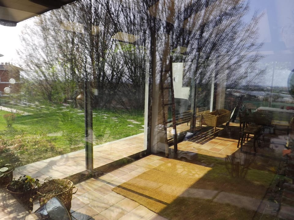 Patio, Garden, City view