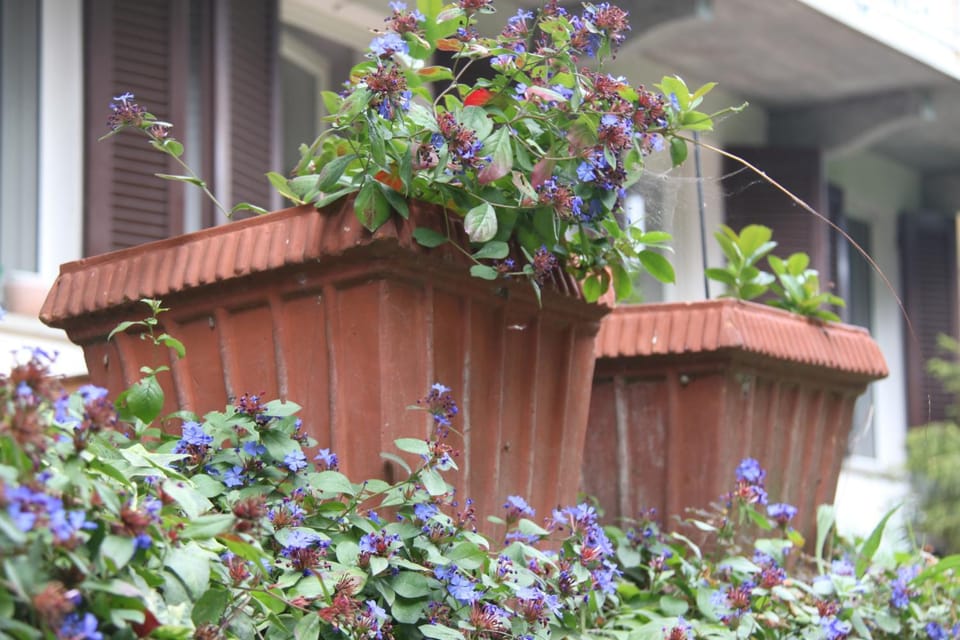 Facade/entrance, Garden