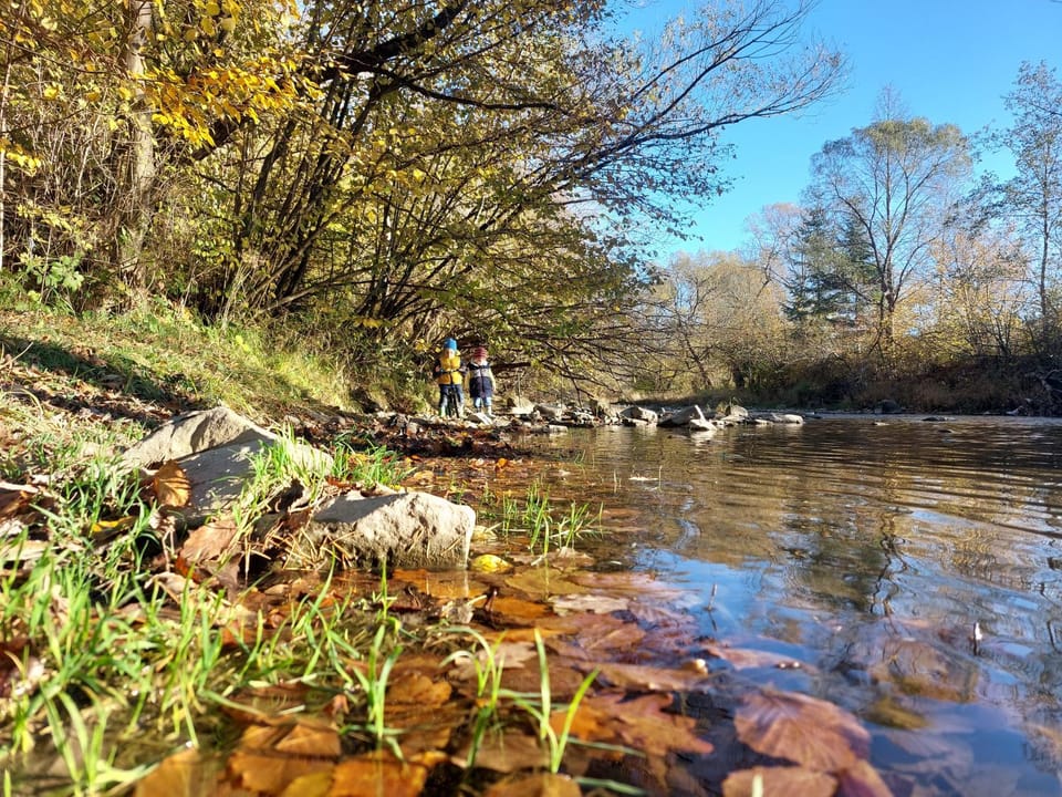 Autumn, River view