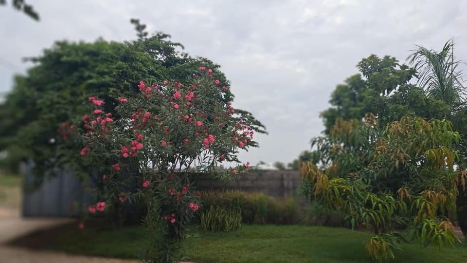 Lasts minute lodge Nature lodge in Kenya