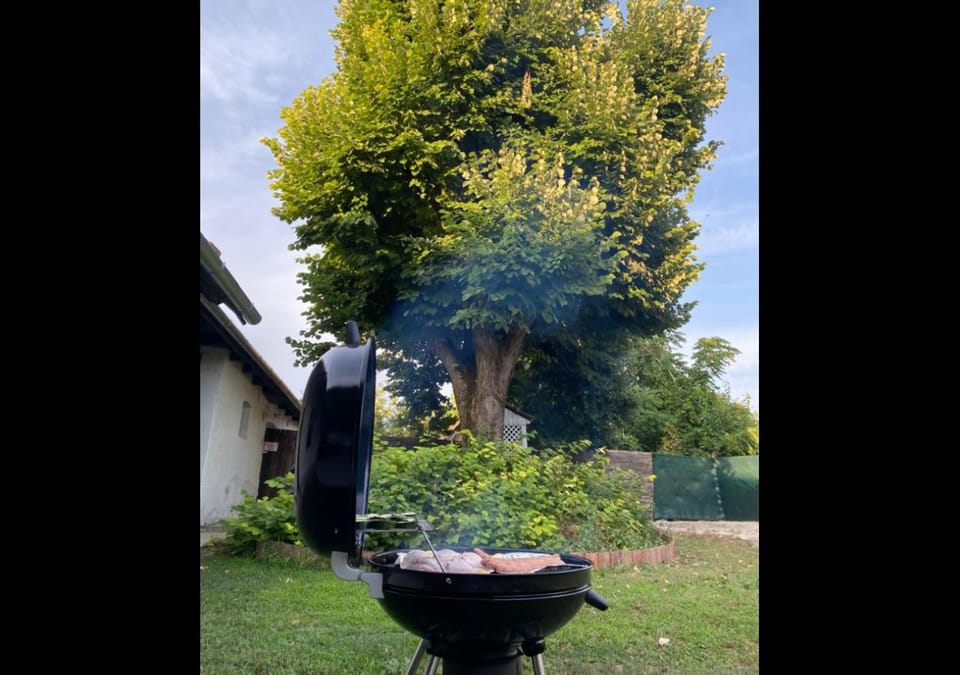 BBQ facilities, Garden, Food, Inner courtyard view
