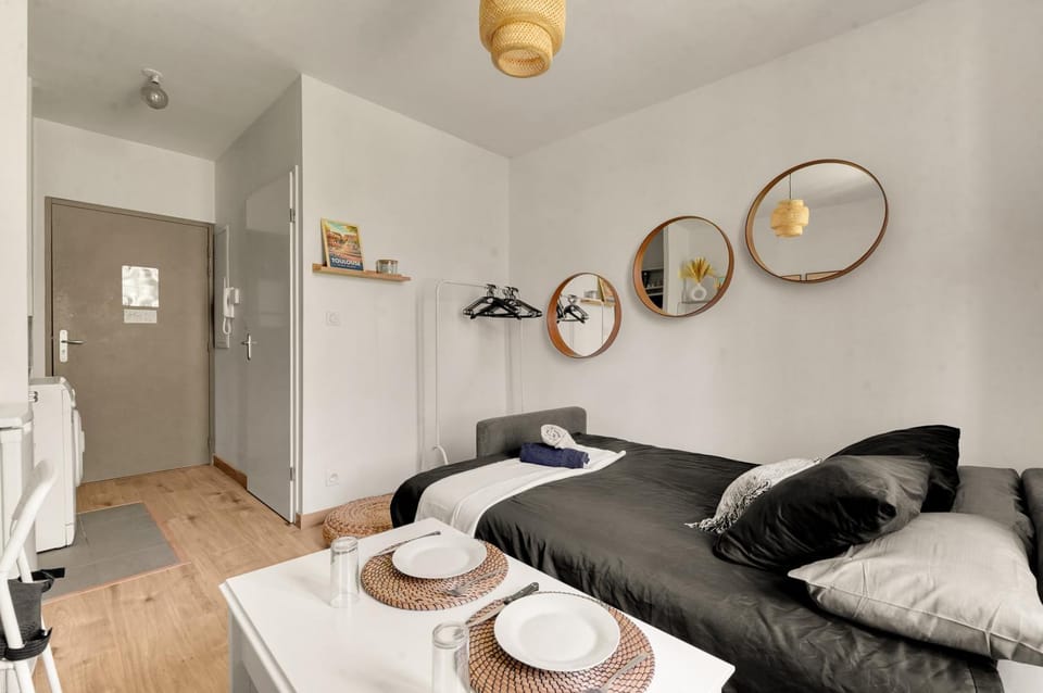 Le Petit Brienne - Centre-Ville Aéroport TBS Apartment in Toulouse