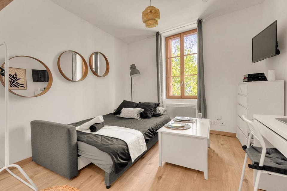 Le Petit Brienne - Centre-Ville Aéroport TBS Apartment in Toulouse