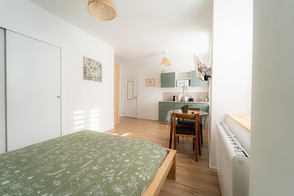 Une touche de vert Apartment in Mulhouse