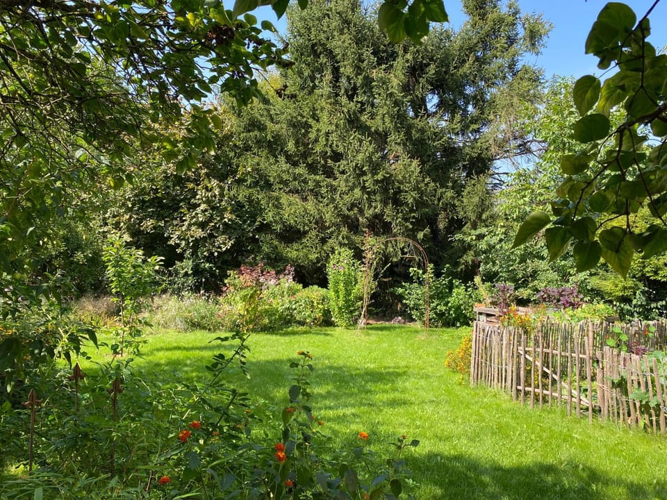 Day, Garden, Garden view