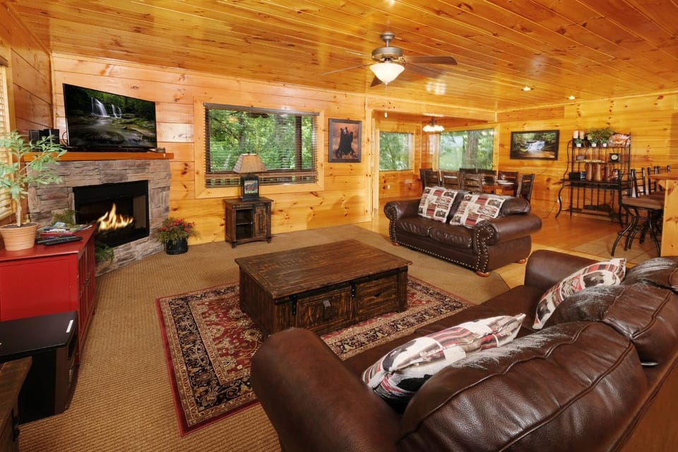 TV and multimedia, Living room