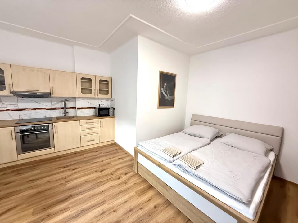 Apartmány Princ Děčín Apartment in Sächsische Schweiz-Osterzgebirge