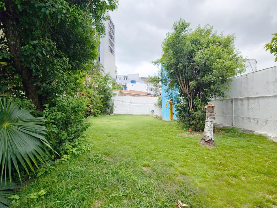 Garden, Garden view