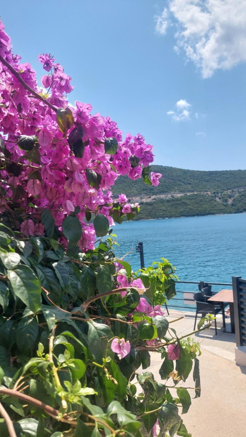 Odore Di Mare Apartment in Neum