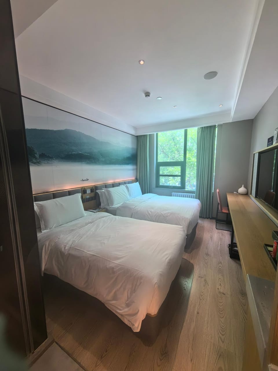 Photo of the whole room