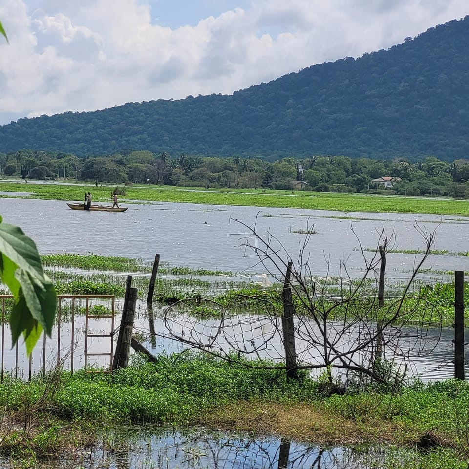 Lake View - Gayan Rest Bed and Breakfast in Southern Province