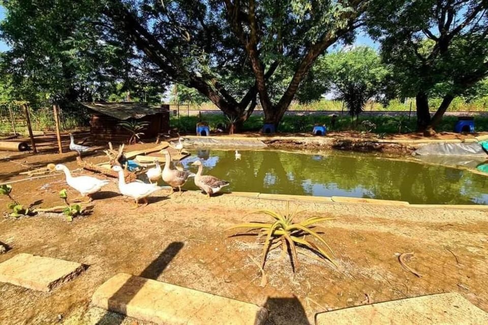 Bon Accord Farmstead Retreat House in Pretoria