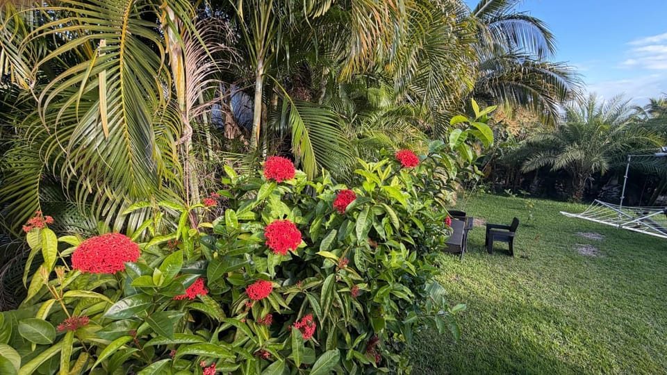 Garden view