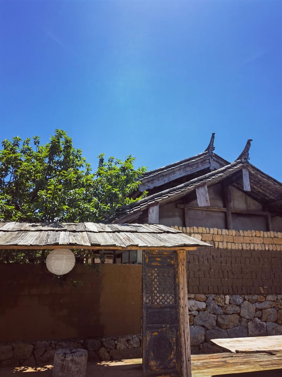 Garden view
