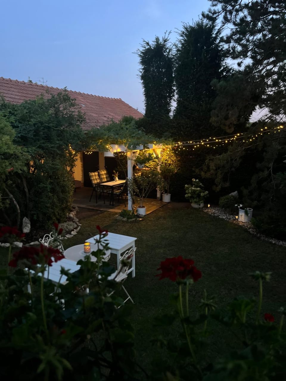 Night, Garden, Garden view