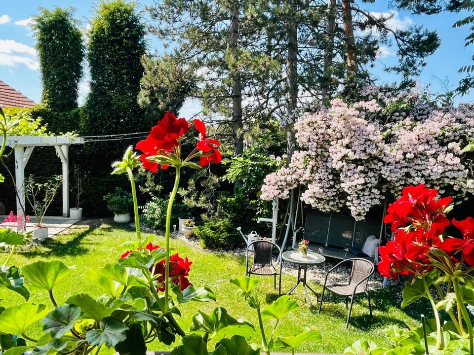 Garden, Garden view