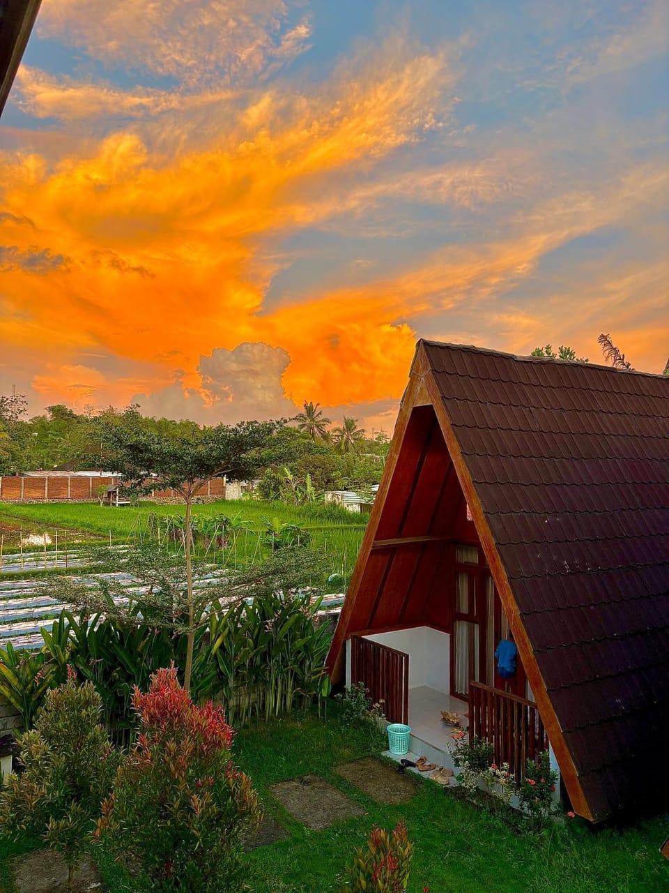 Property building, Natural landscape, Garden, Garden view, Sunrise, Sunset