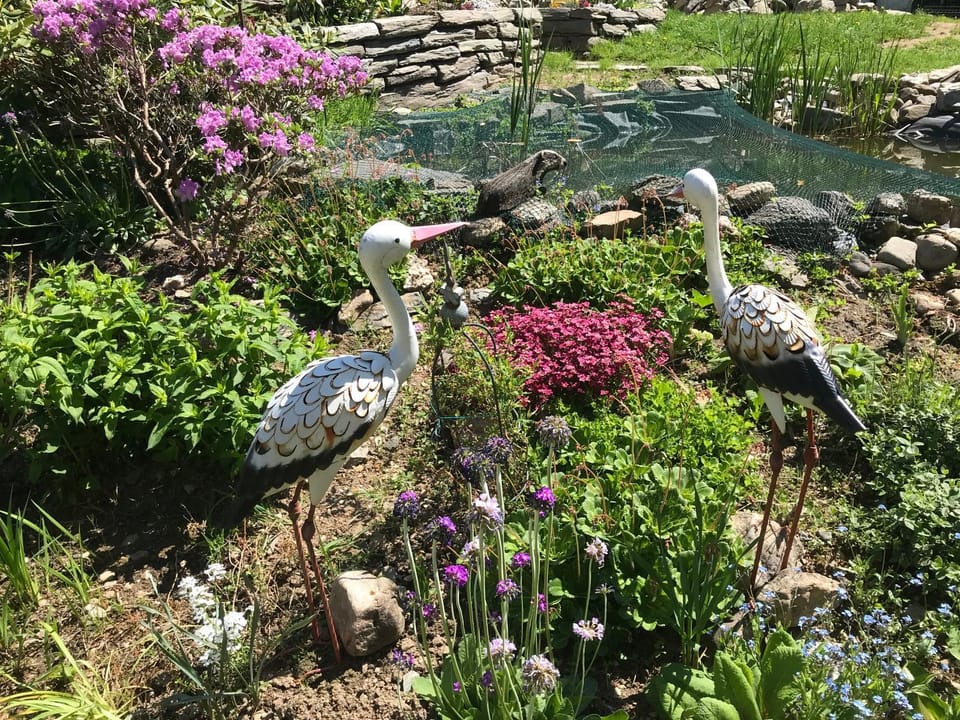 Waldpension-Mazur Apartment in Hochtaunuskreis