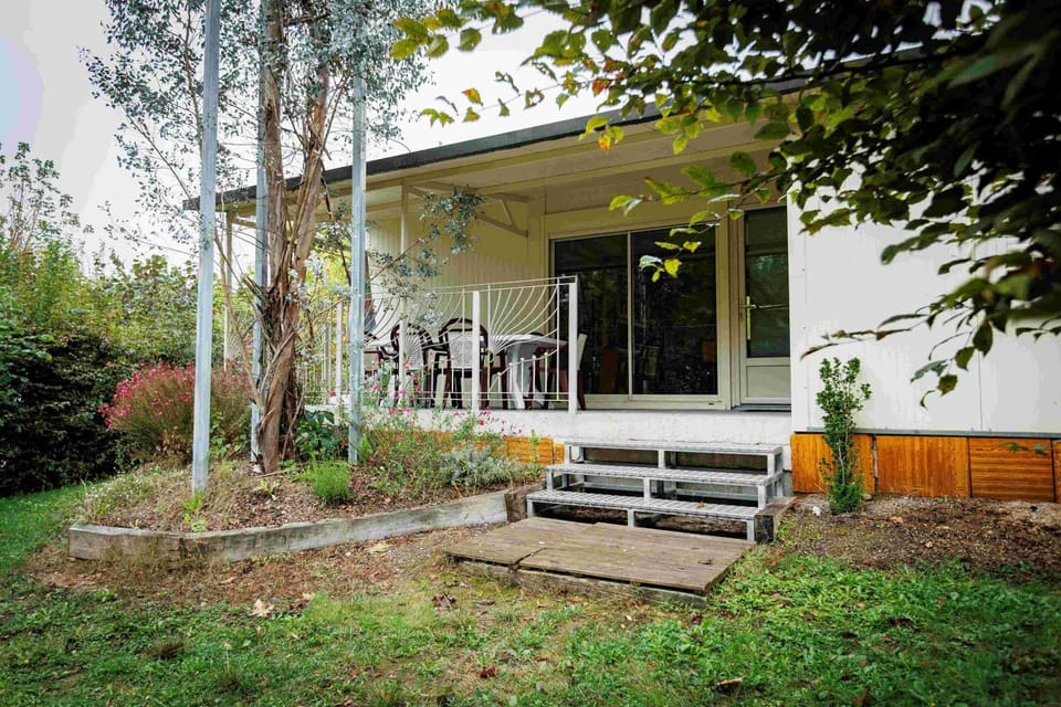 Patio, Day, Garden