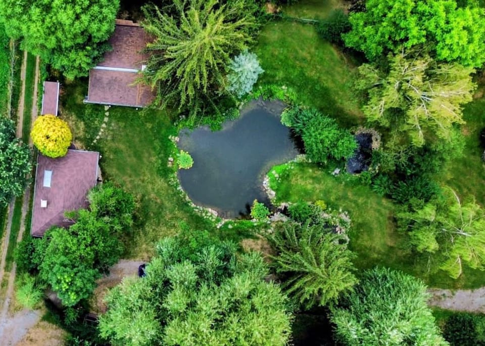 Bird's eye view, Garden