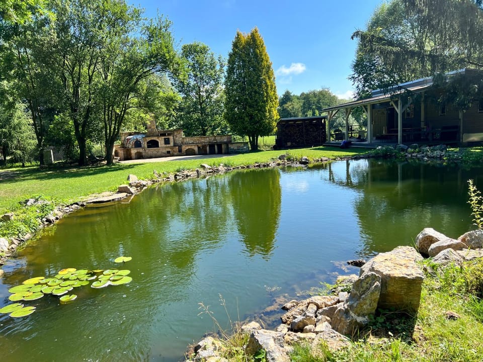 Spring, Natural landscape, Garden, Garden view, Lake view