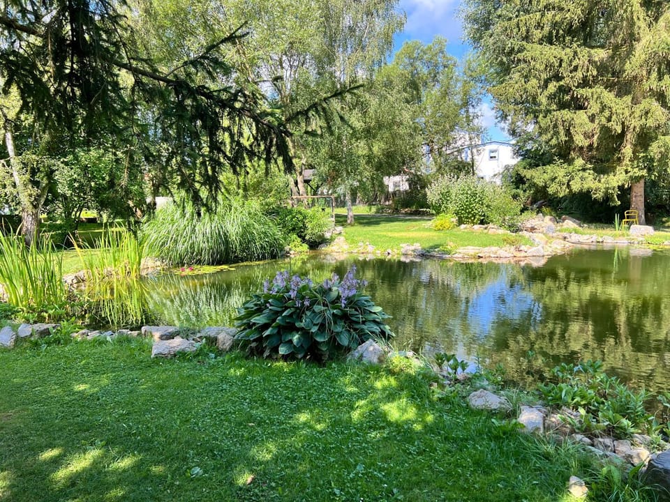 Spring, Day, Natural landscape, Garden, Garden view, Lake view