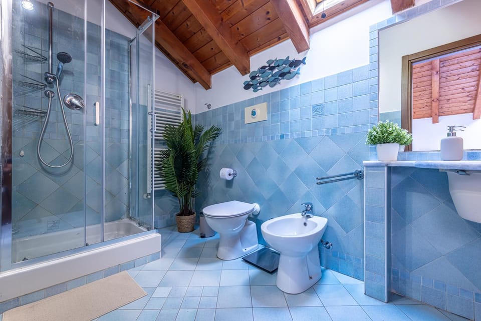 Shower, Toilet, Bathroom, bidet, hair dryier, washing machine, dryer