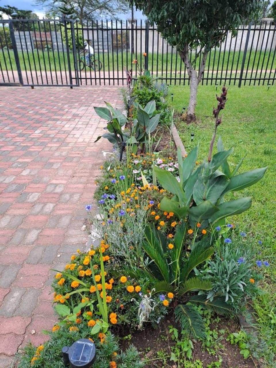 2Bed-4Guests-Garden-NearCentre&Attractions House in Harare