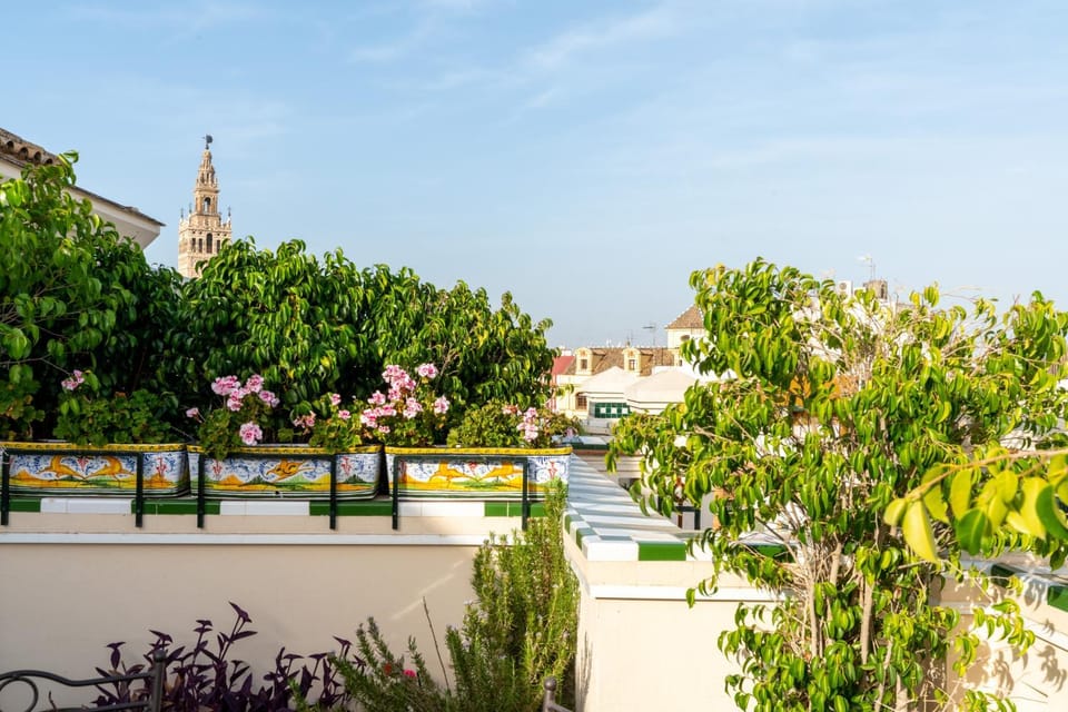 View (from property/room), Balcony/Terrace