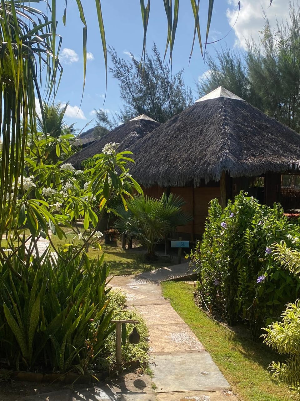 Day, Garden, Garden view