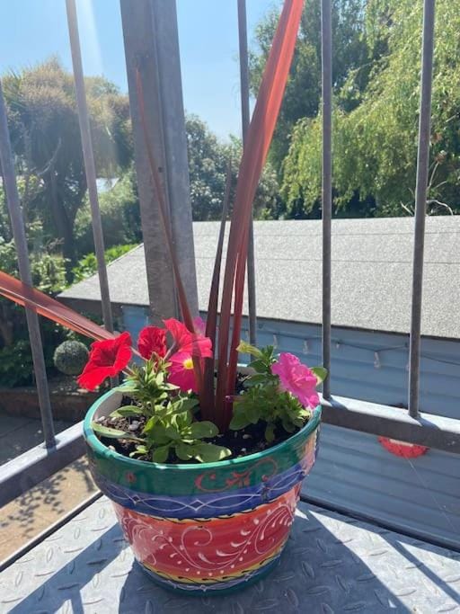 The Bedsit Apartment in Wales