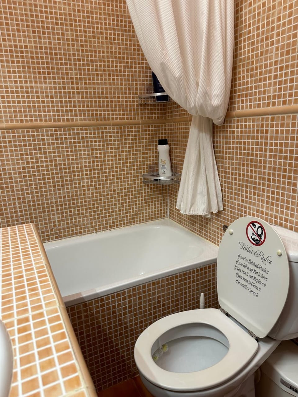 Toilet, Hot Tub, Bathroom