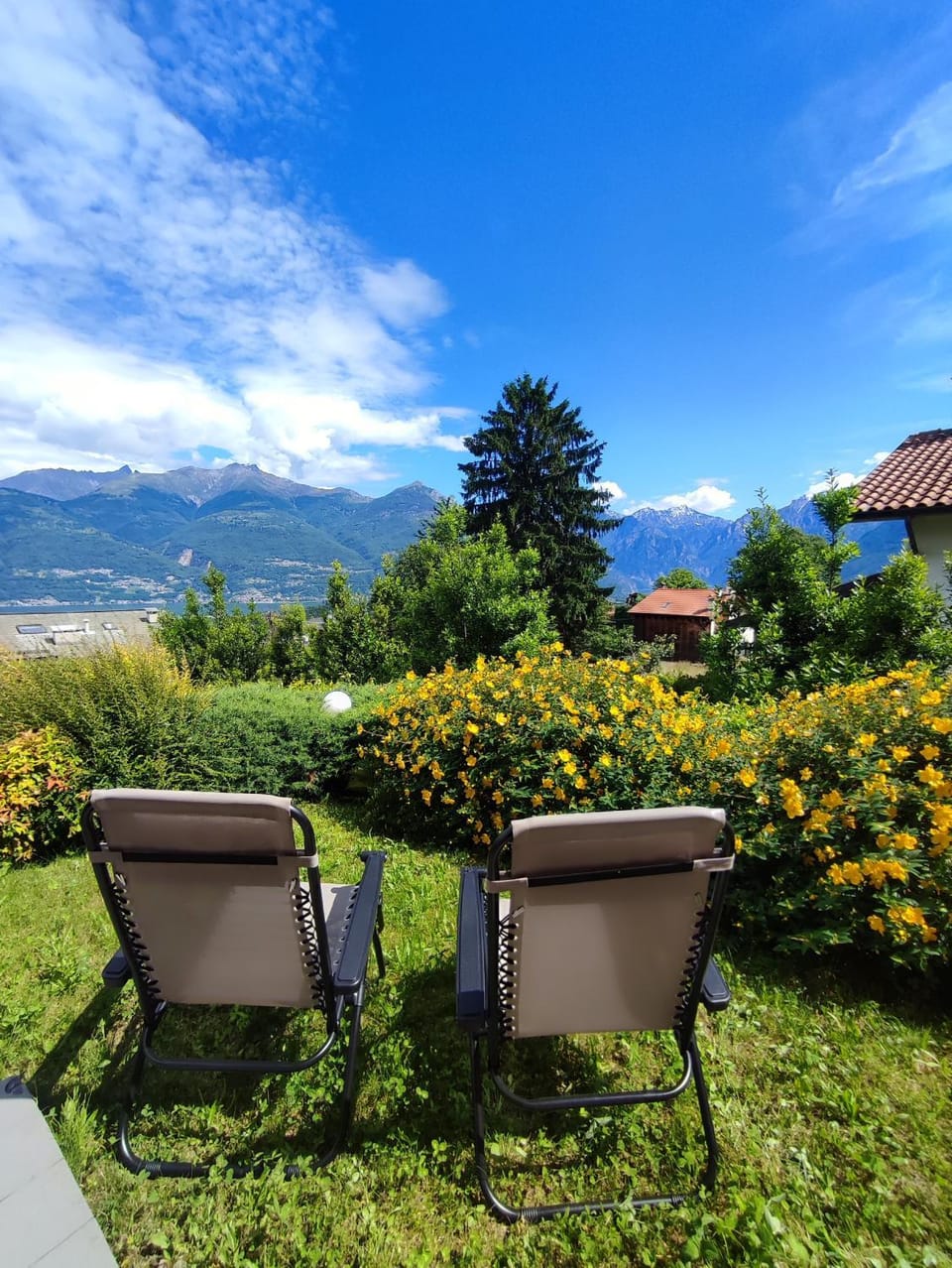 Natural landscape, Garden, sunbed