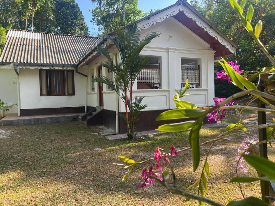 Property building, Spring, Garden, Garden view
