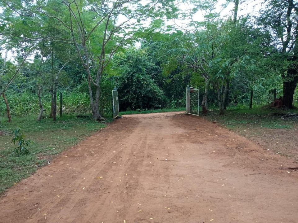 Day, Natural landscape