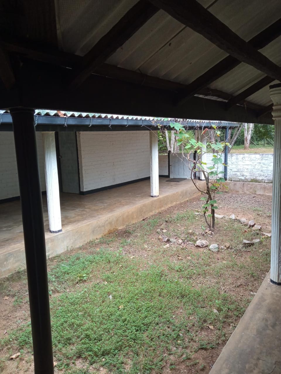 Day, Garden view