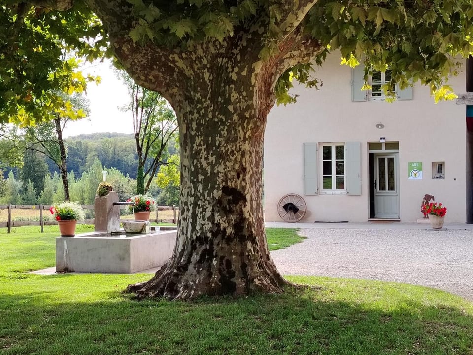 Gîte Le Vieux Chêne House in Auvergne-Rhône-Alpes