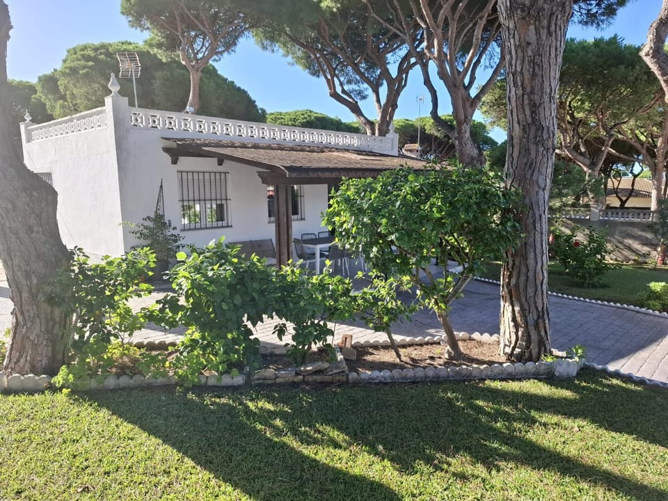Property building, Spring, Garden view