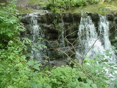 Natural landscape