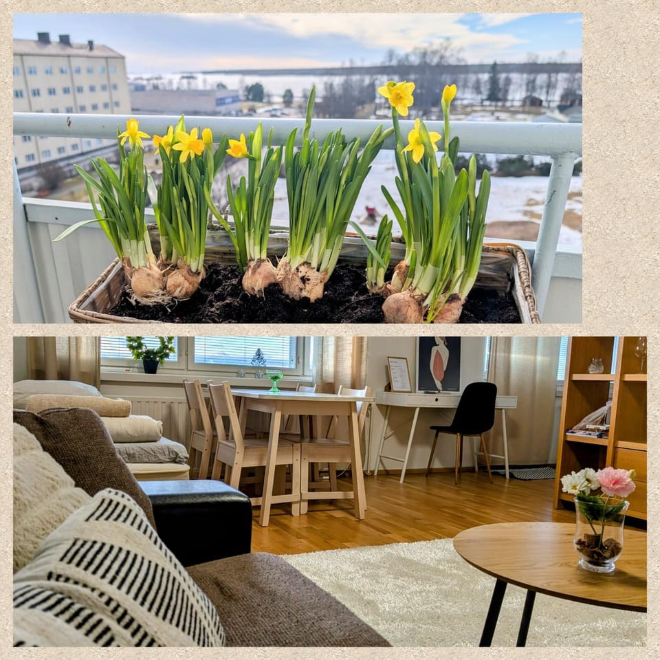 Beautiful apartment with seaview! Top 7th floor Free parking! Apartment in Kemi