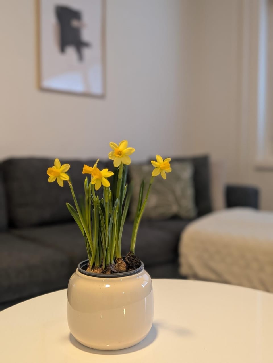 20 - Nice apartment in Kemi City Centre Apartment in Kemi