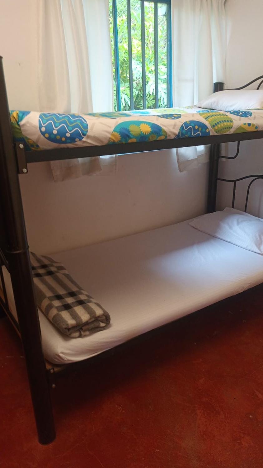 Bed, bunk bed, wardrobe