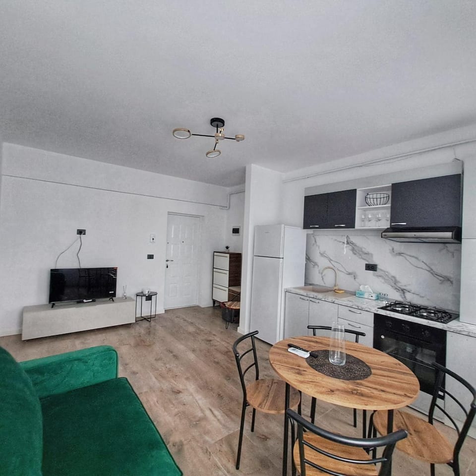 Communal lounge/ TV room, TV and multimedia, Kitchen or kitchenette, Living room, Seating area, Dining area, minibar, oven, stove