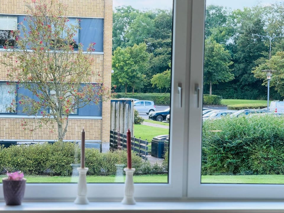 Garden, Garden view