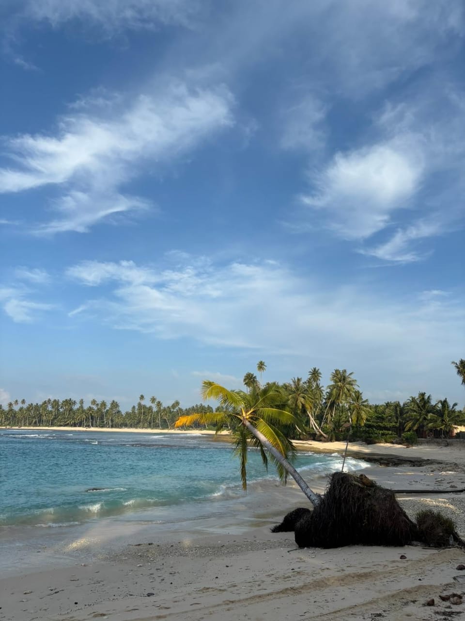 Surfcamp katiet mentawai Bed and Breakfast in West Sumatra, Indonesia