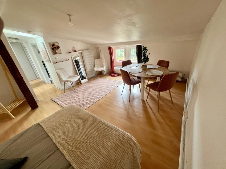 Soeurs Apartment in Strasbourg