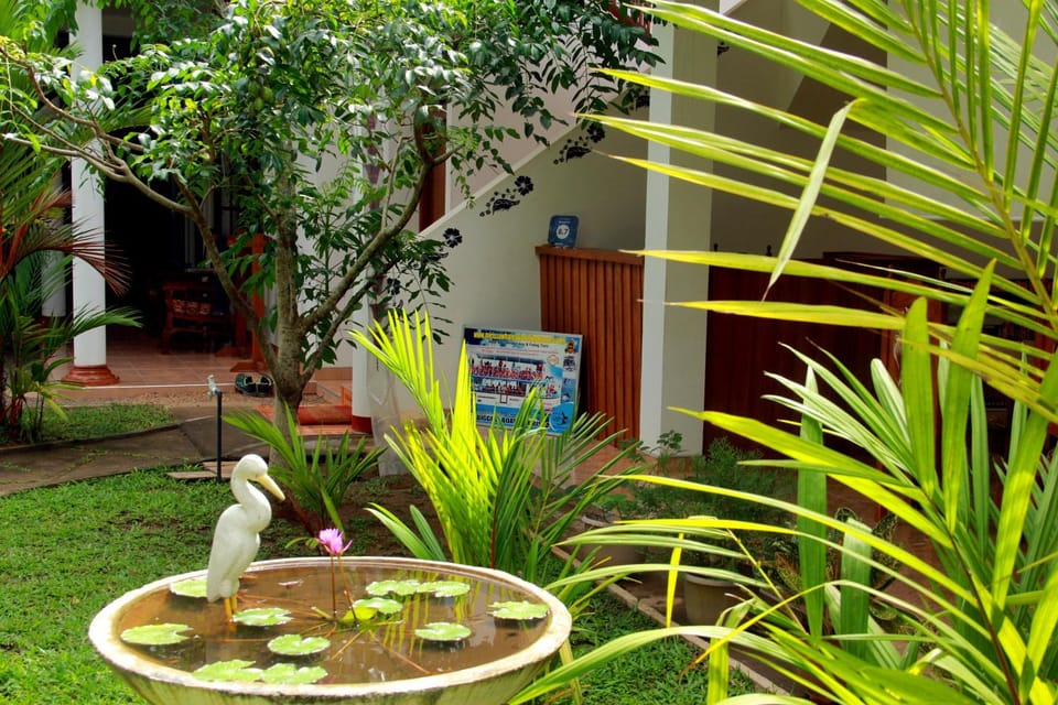 Garden view